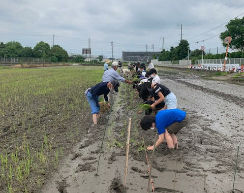 自然との触れ合いの機会が少なくなってきている今の子どもたちにとって泥に触れる経験はとても貴重で食育にもつながる大変有意義な時間でした。